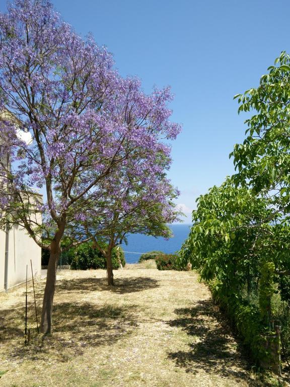 Bellavista
